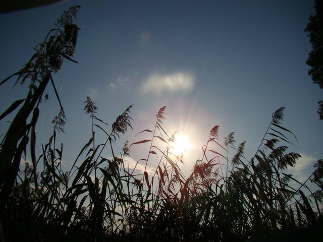 bogdan2003
