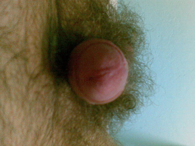 pistaszek
