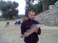 20110918437.jpg
