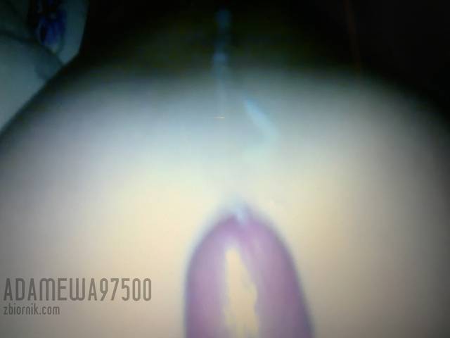 Zdjęcie0132.jpg - adamewa97500