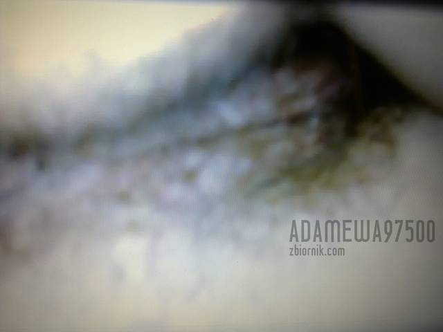 Zdjęcie0134.jpg - adamewa97500
