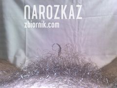 loczek :)