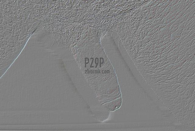 12.jpg - p29p