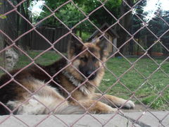 Obraz 002.jpg