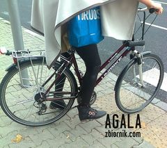 Zdjęcie0730L.jpg