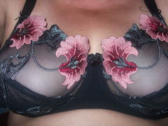 DSCF0765.JPG