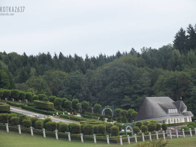ŁADNY - kotka2637