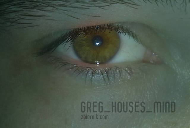 greg_houses_mind