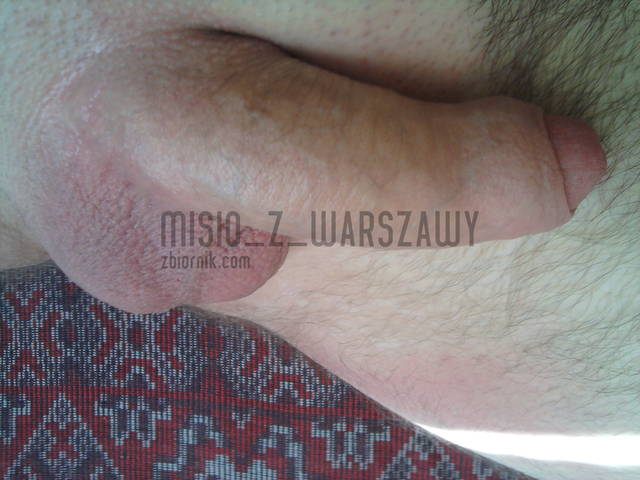 czekając na pobudzenie - misio_z_warszawy