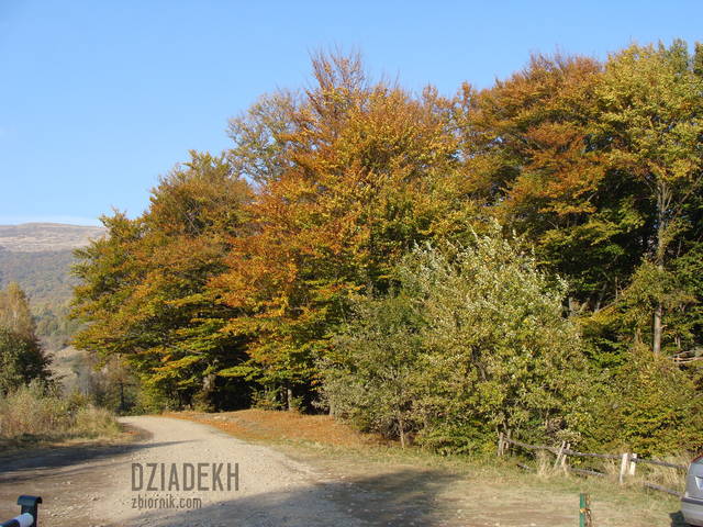 Jesień - dziadekh
