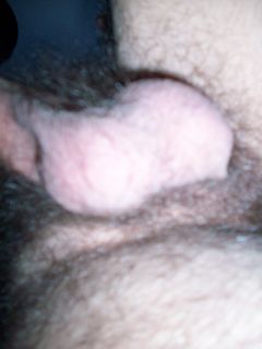 Obraz 021.jpg