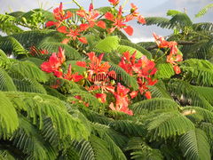DSCN0914.JPG