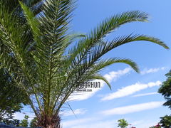 DSCN0924.JPG