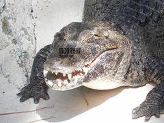 DSCN1183.JPG