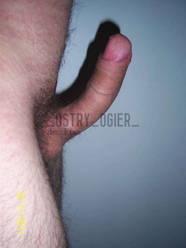 _ostry_ogier_