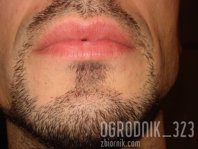 usta.jpg - ogrodnik_323