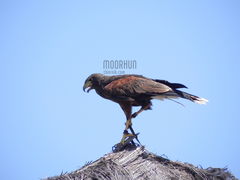 DSCN1319.JPG