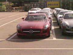 P290410_16.250001.JPG