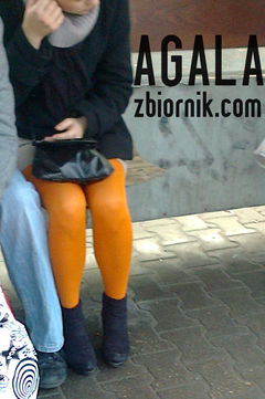 Zdjęcie2667kol.jpg
