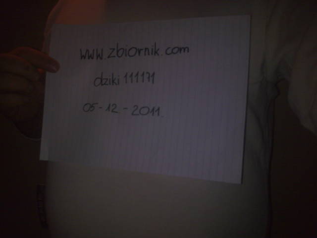 WERYFIKACJA - dziki111171
