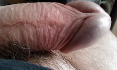 IMAG0184.1.jpg