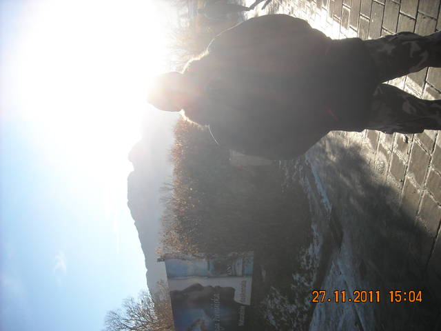 DSCN6365.JPG - 1813