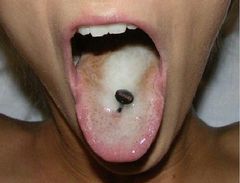 foto4.JPG
