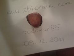 Zdjęcie0080.jpg