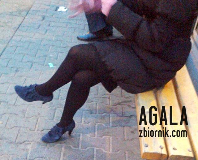 Zdjęcie2939cz.jpg - AGALA