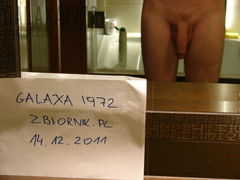 weryfikacja