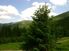 Tatry moje tatry