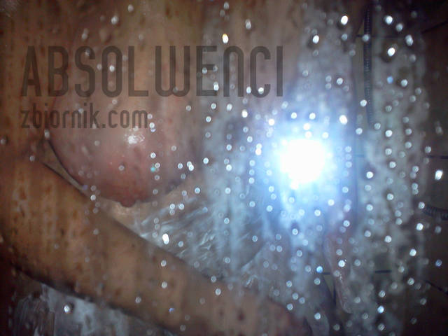 absolwenci