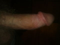 Cock 1.jpg