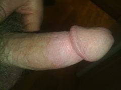 28122011184.jpg