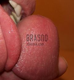 brasno52.jpg