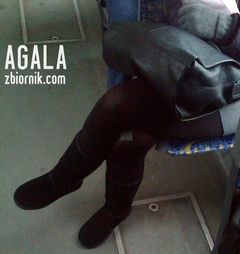 Zdjęcie3319L.jpg