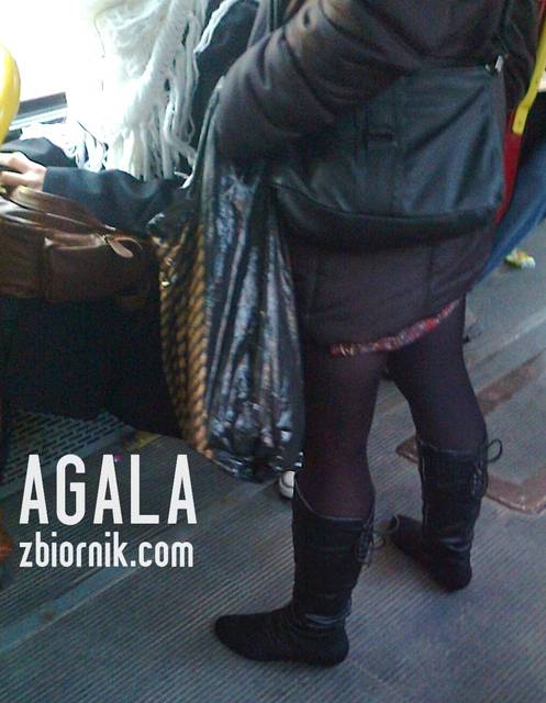 Zdjęcie3279cz.jpg - AGALA
