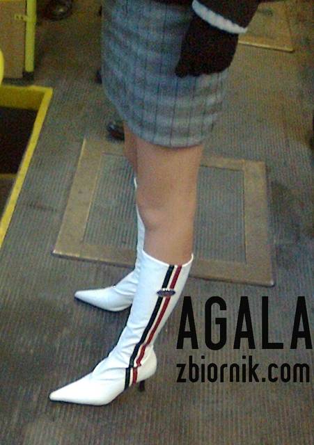 Zdjęcie3441kl.jpg - AGALA