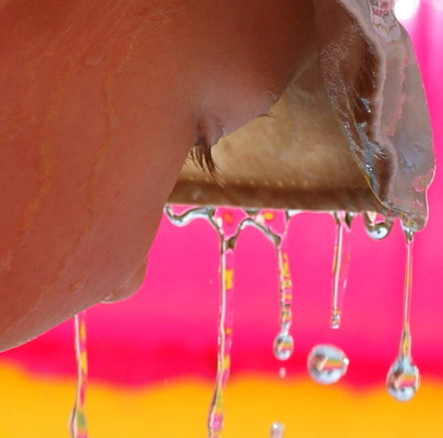 biała