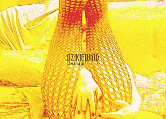 dzikiewino