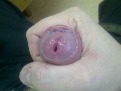IMG-20120110-00010.jpg