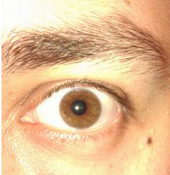 Eye of the Tiger ;)
