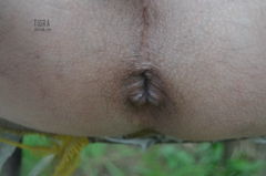 DSC_0086.jpg
