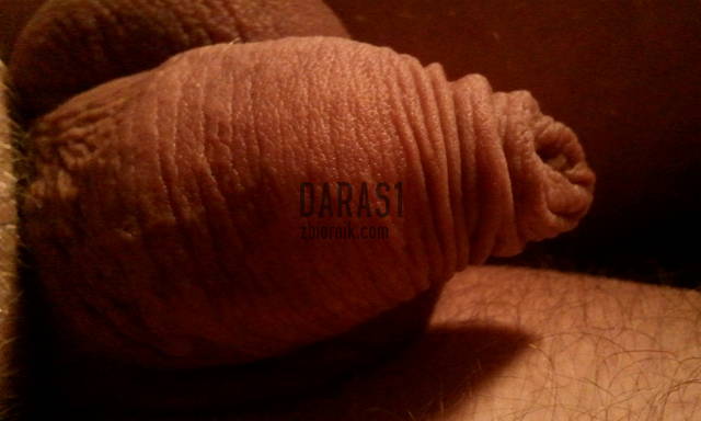 spi - daras1