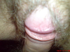 DSC00029.JPG