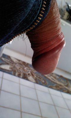 IMAG0259.1.jpg