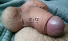 penisek