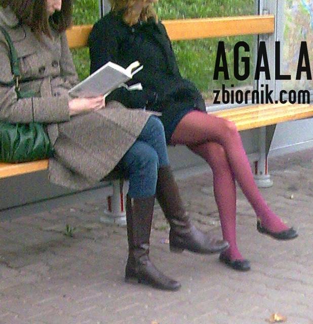 Fiol096kol.jpg - AGALA