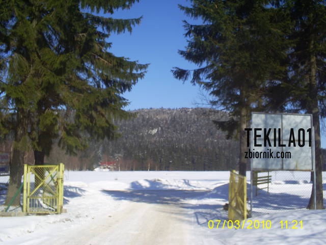tekila01
