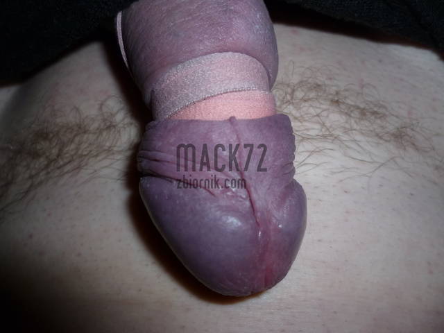 P1020552.JPG - mack72